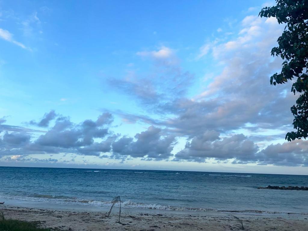 Appartamento Sea Castles La Vue Montego Bay Esterno foto